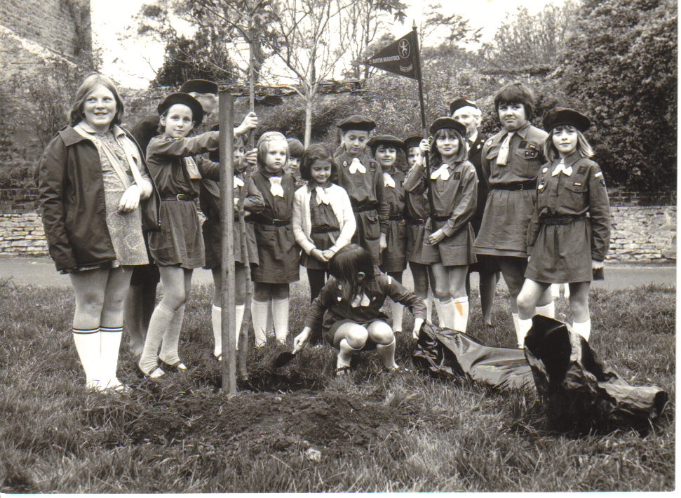 Tree Planting 1970